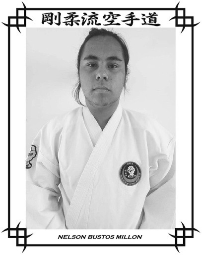 Nelson Bustos Millon
