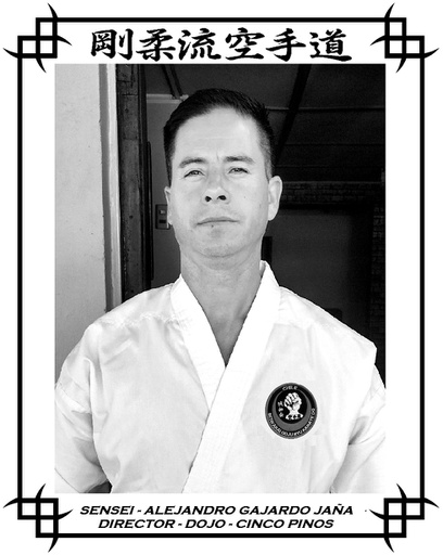 Sensei Alejandro Gajardo Jaña