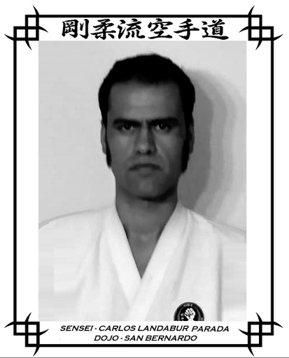 Sensei Carlos Landabur Parada