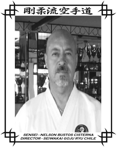 Sensei Nelson Bustos Cisterna