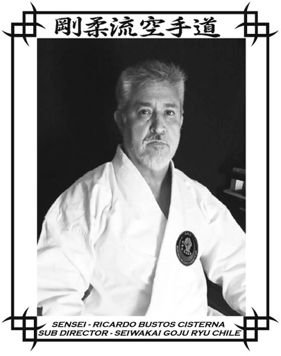 Ricardo Bustos Cisterna